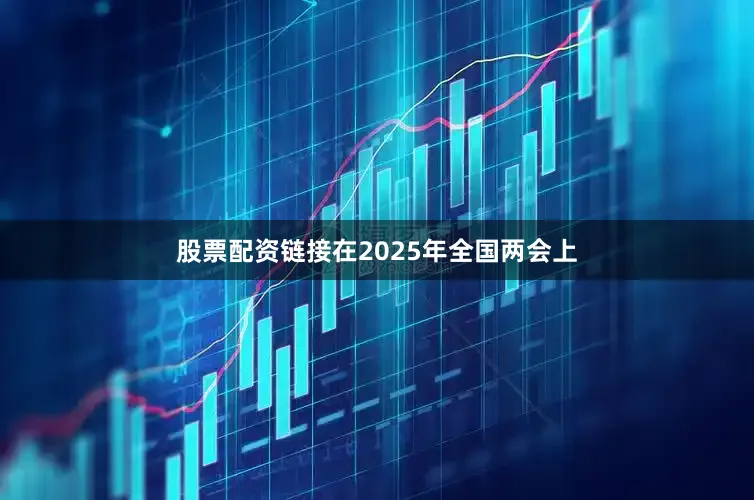 股票配资链接在2025年全国两会上
