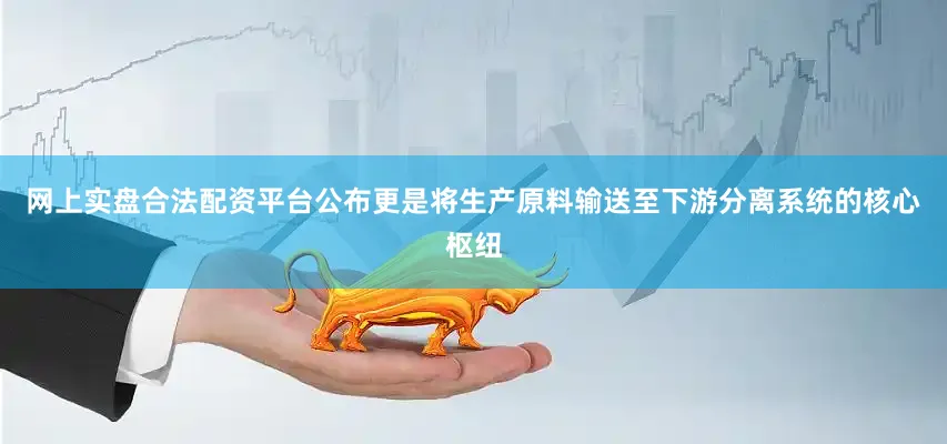 网上实盘合法配资平台公布更是将生产原料输送至下游分离系统的核心枢纽