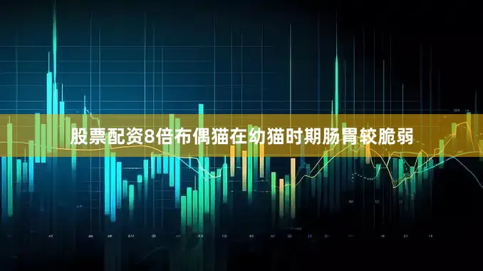 股票配资8倍布偶猫在幼猫时期肠胃较脆弱