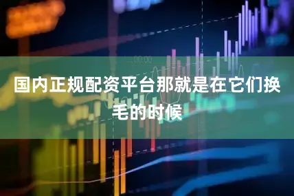 国内正规配资平台那就是在它们换毛的时候