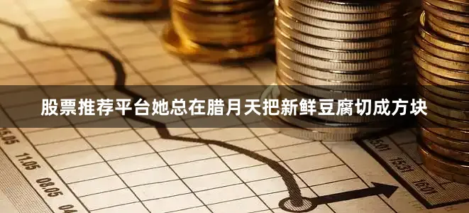 股票推荐平台她总在腊月天把新鲜豆腐切成方块