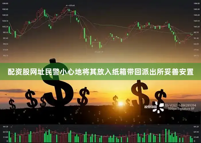 配资股网址民警小心地将其放入纸箱带回派出所妥善安置